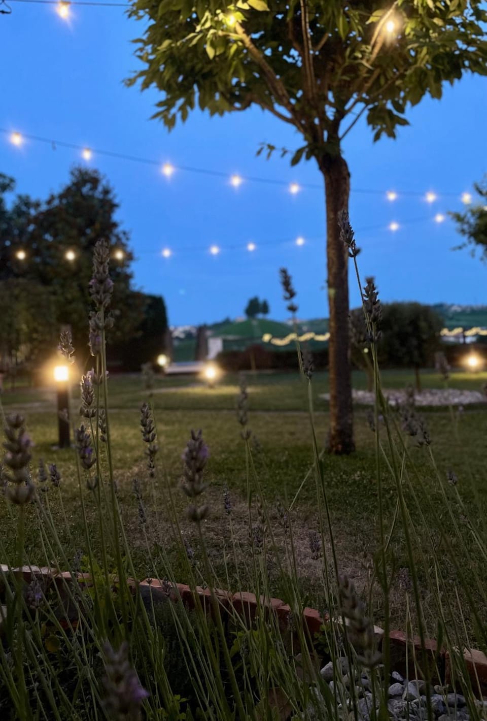 Lange Bed and Breakfast in Piedmont