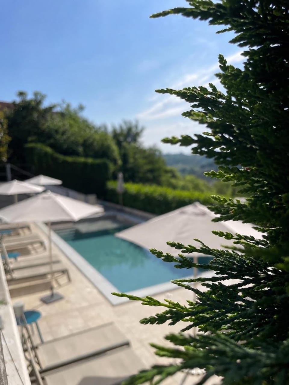 Lange Bed and Breakfast in Piedmont