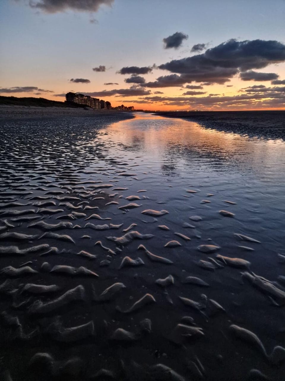 Sea views in Bray-Dunes Apartment in Bray-Dunes