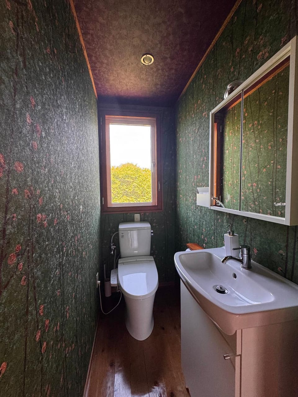 Toilet, Public Bath