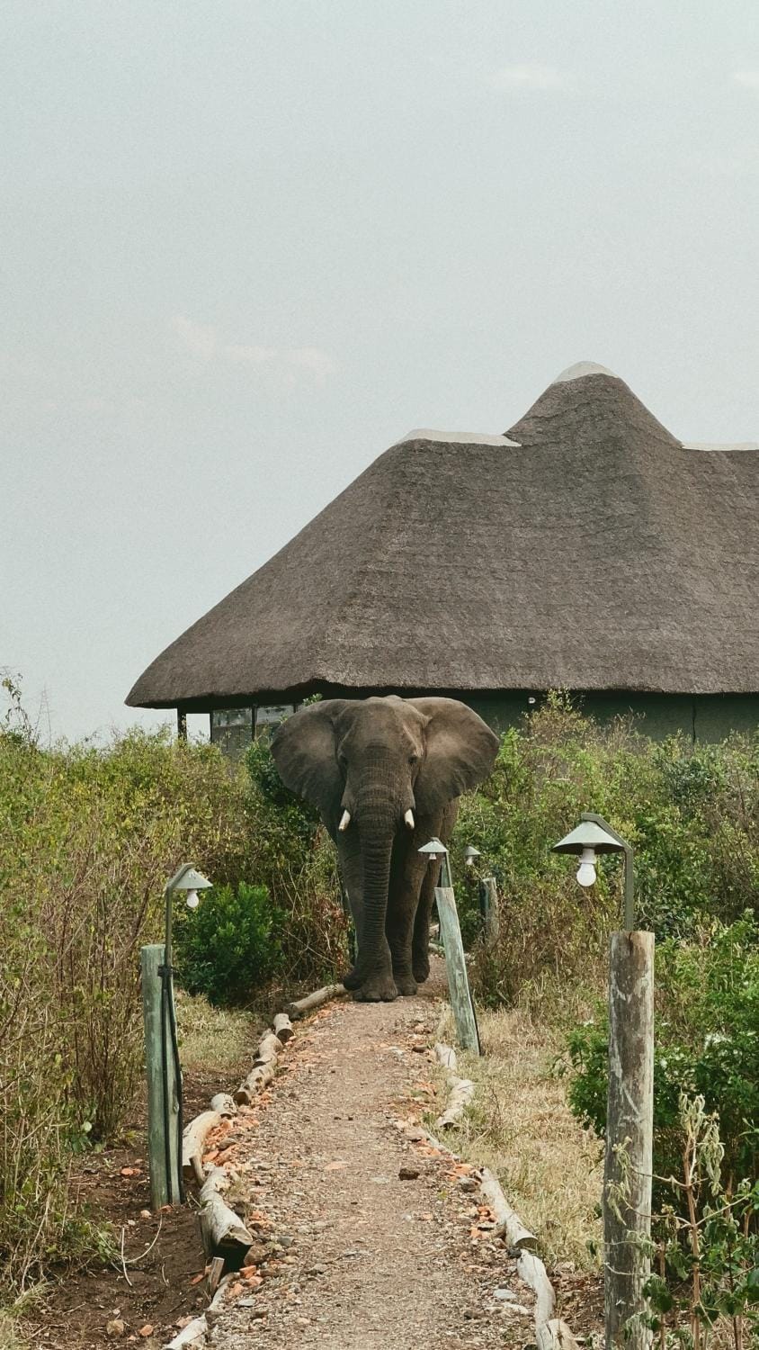 Egret safari lodge Campground/ 
RV Resort in Uganda
