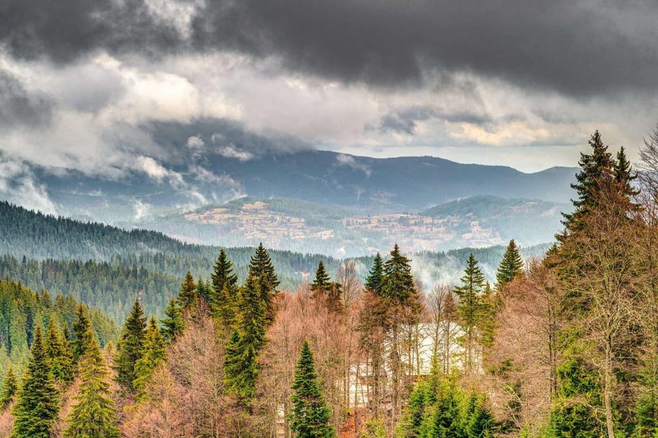 Mountain view