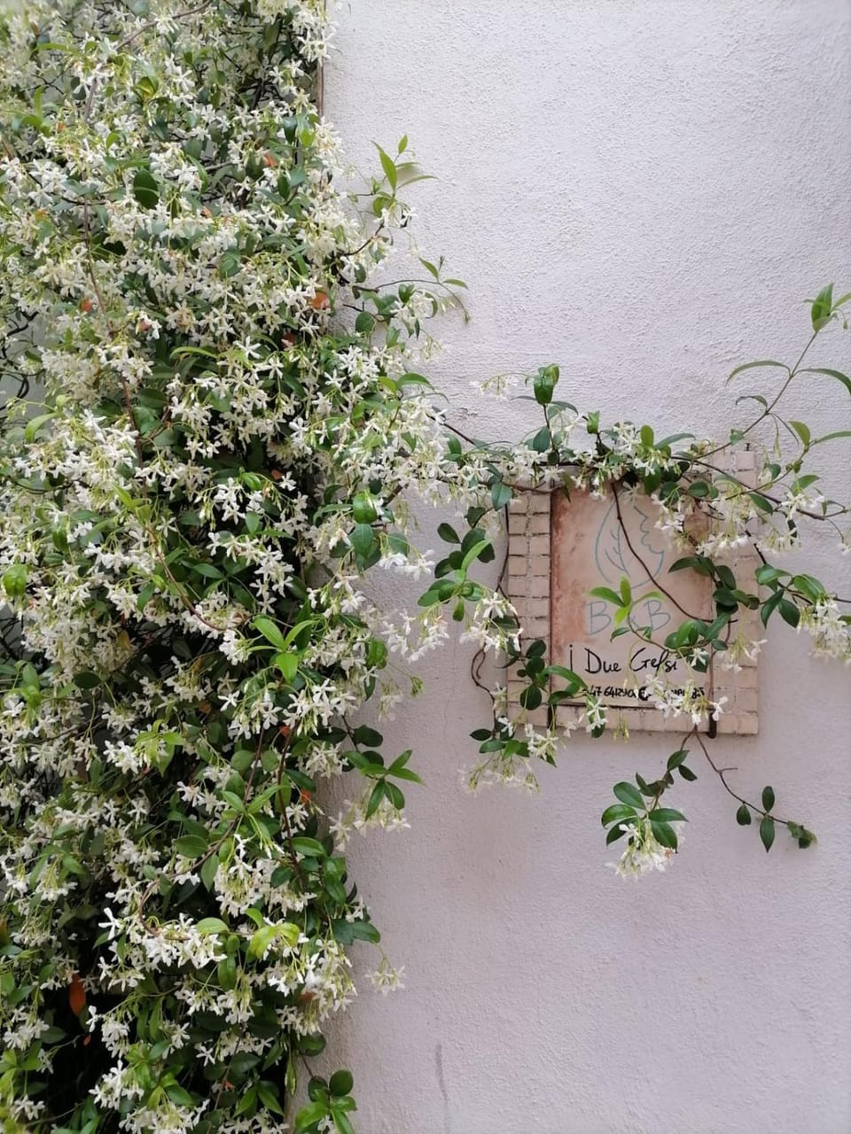 B&B I Due Gelsi Bed and Breakfast in Lazio