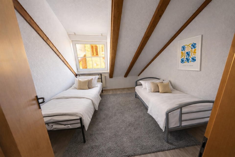 Charming Rooftop Apartment Apartment in Rhineland-Palatinate