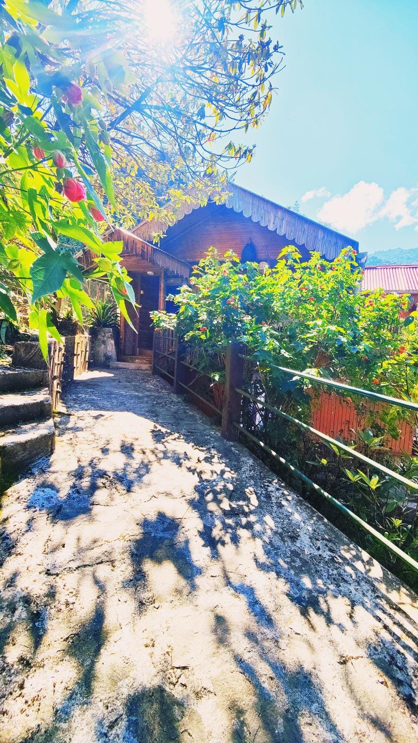 Property building, Garden, Garden, Garden view