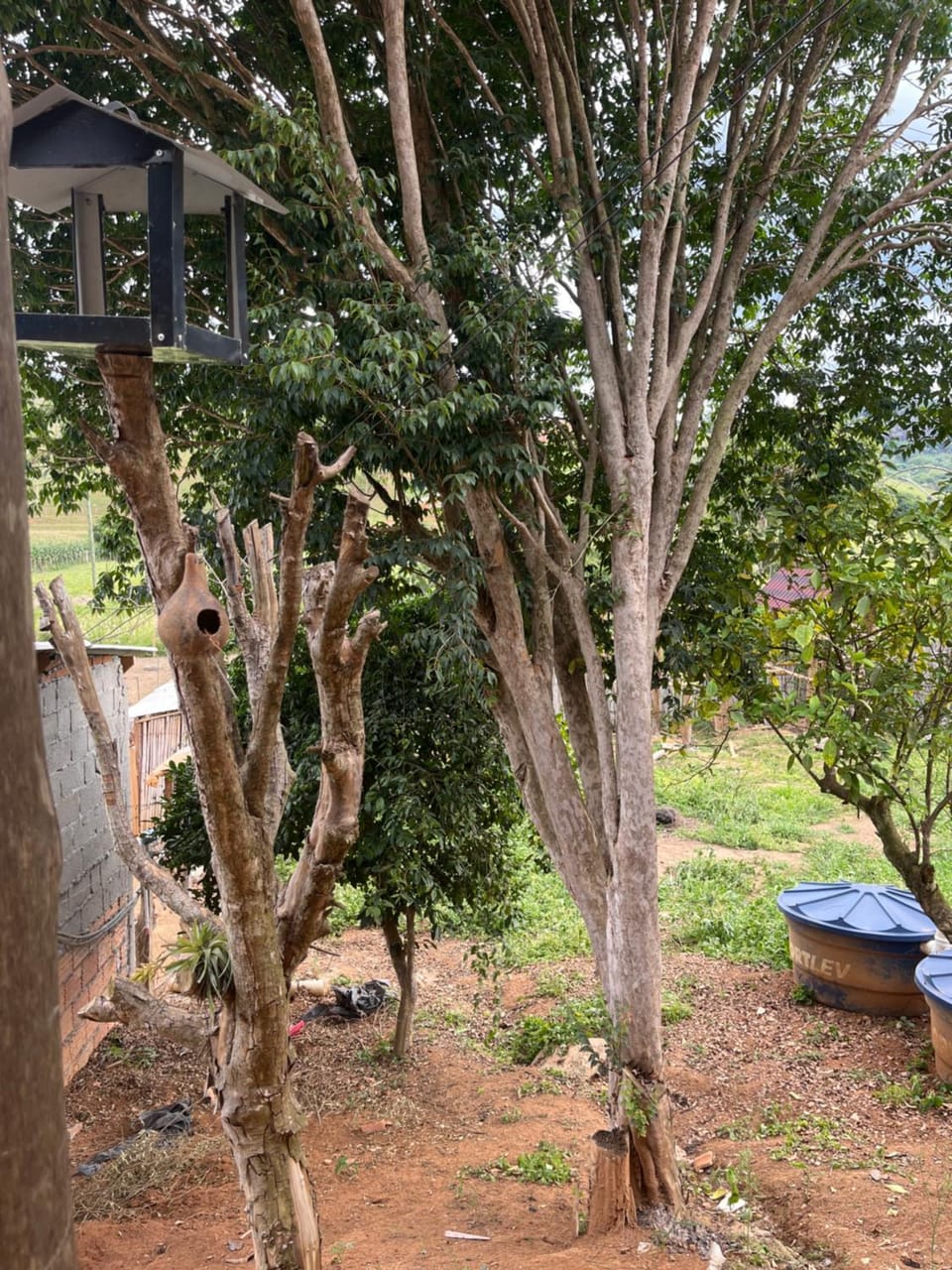 Refúgio Ouro de Mina House in State of São Paulo