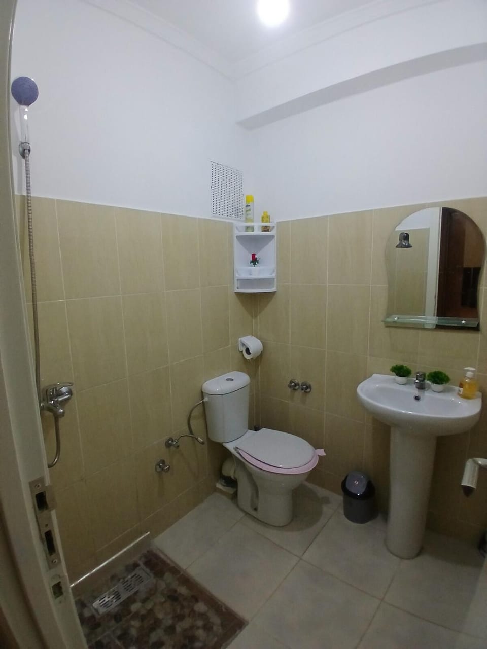 Toilet