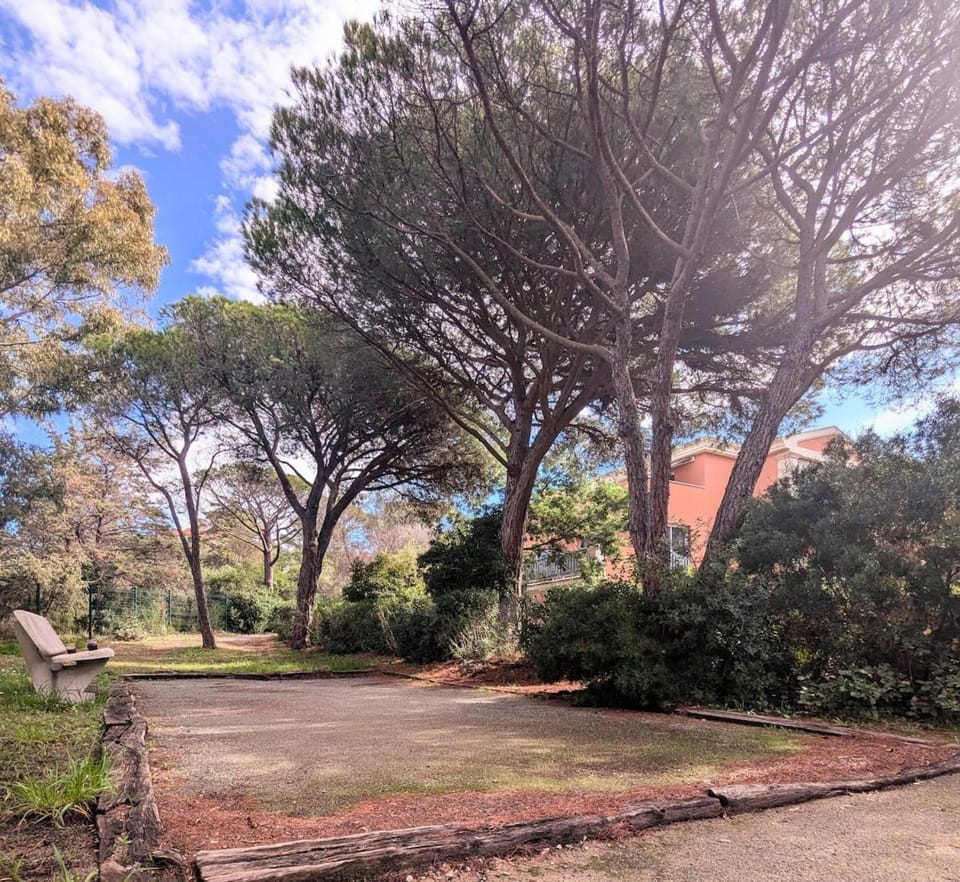 Day, Natural landscape, Garden, Garden view
