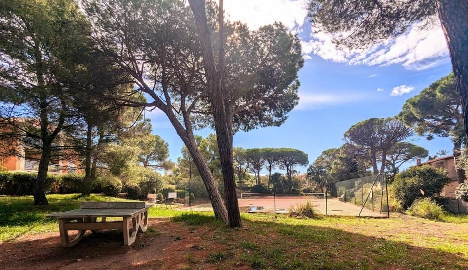 Day, Natural landscape, Garden, Garden view