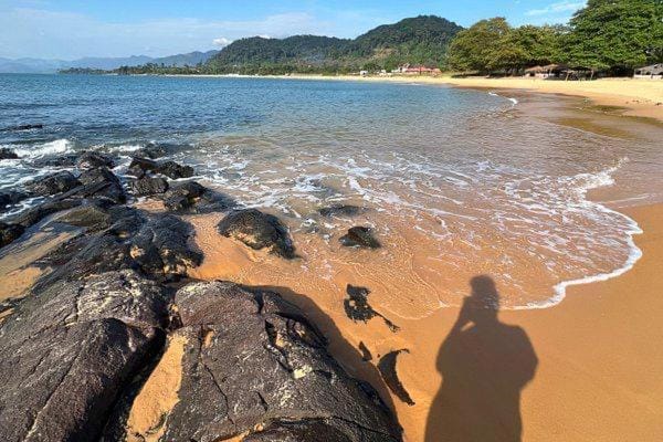 Femi Turner Beach House House in Freetown