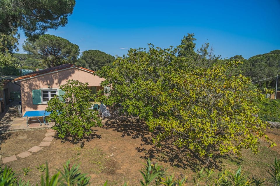 Property building, Garden view