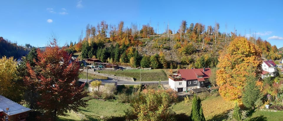 Day, Natural landscape, View (from property/room), Area and facilities