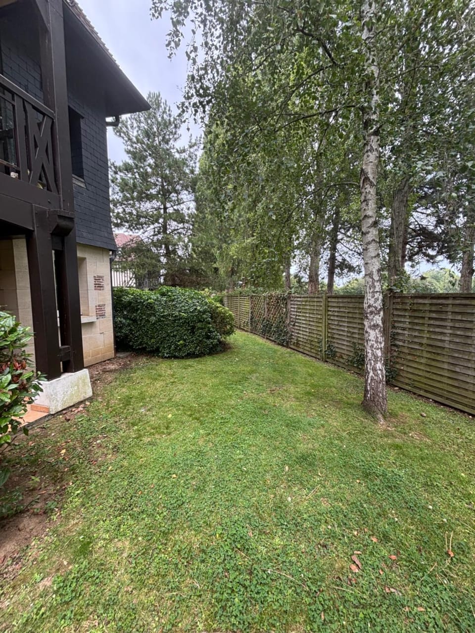 Garden view