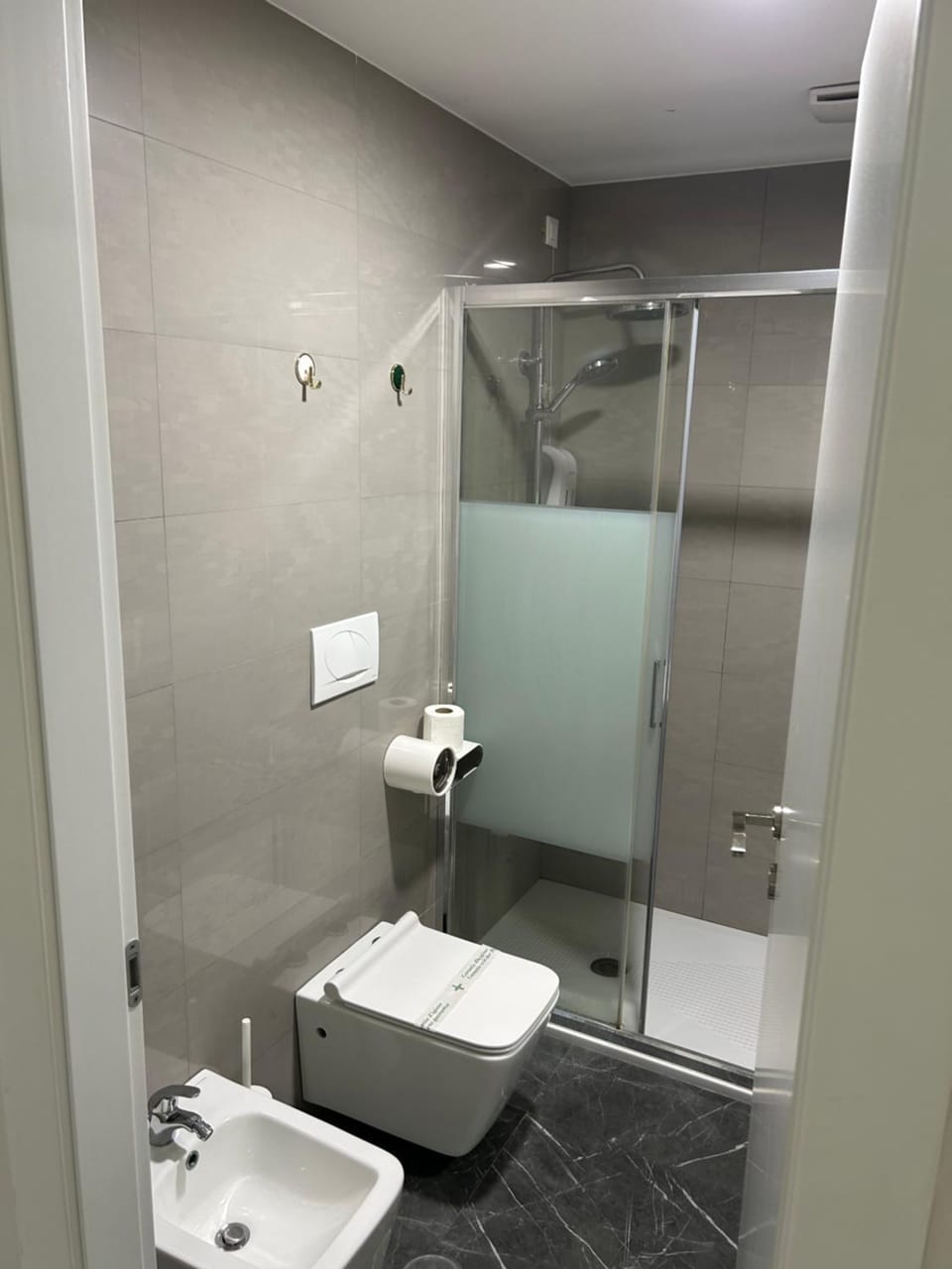 Shower, Toilet, Bathroom, bidet