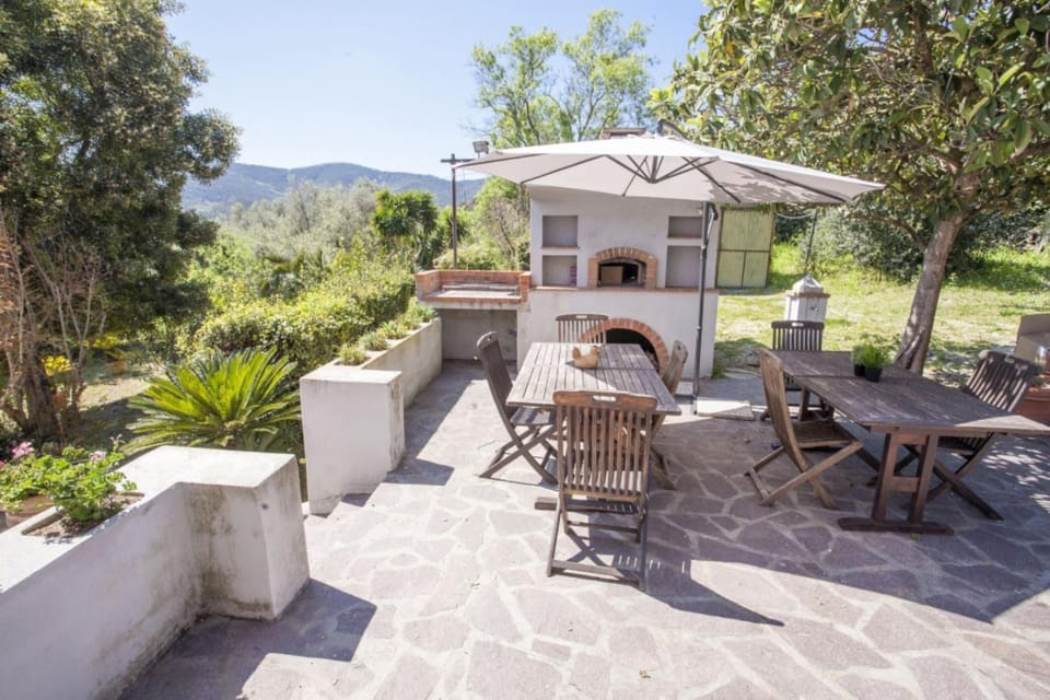 Balcony/Terrace, Garden view