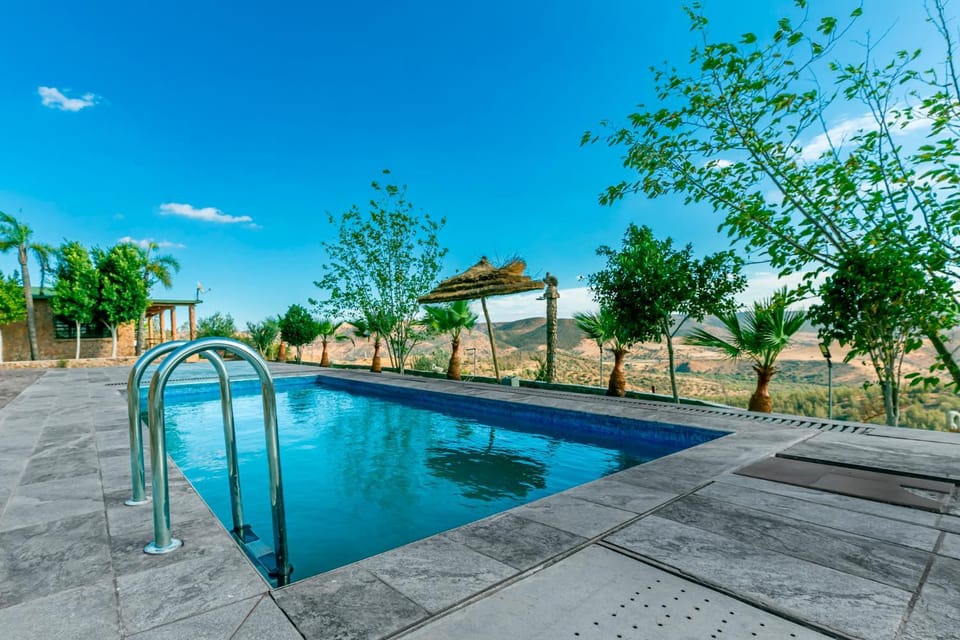 Garden, Pool view, Swimming pool
