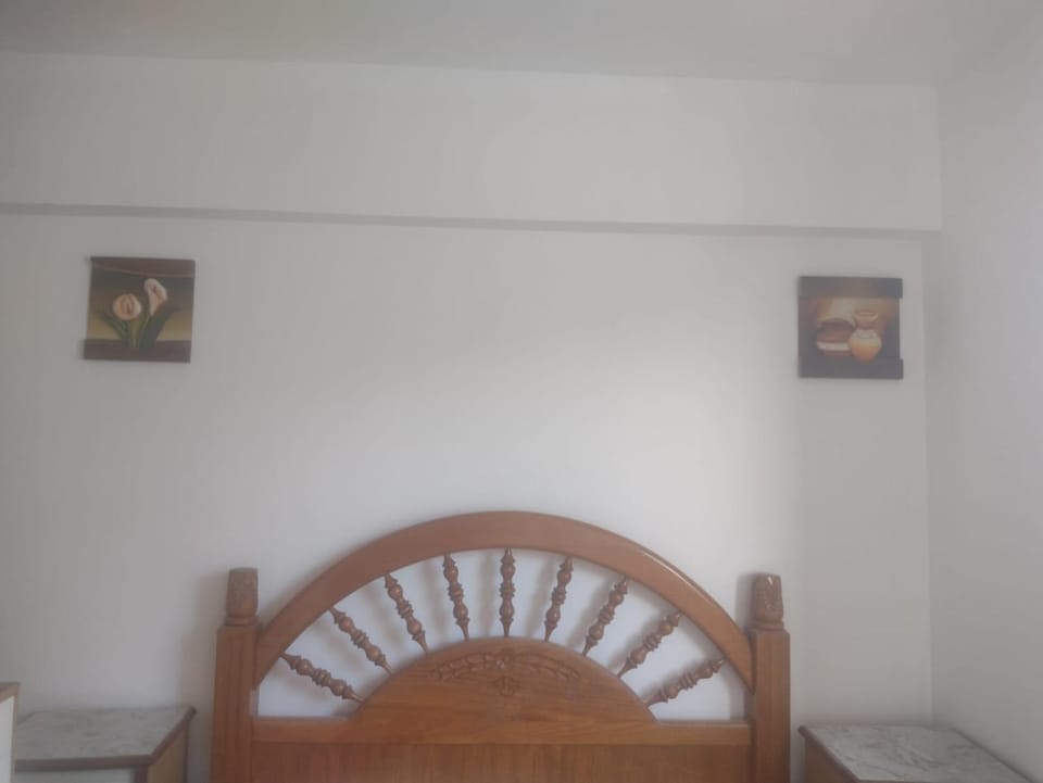 Mendoza Apartment in Mendoza