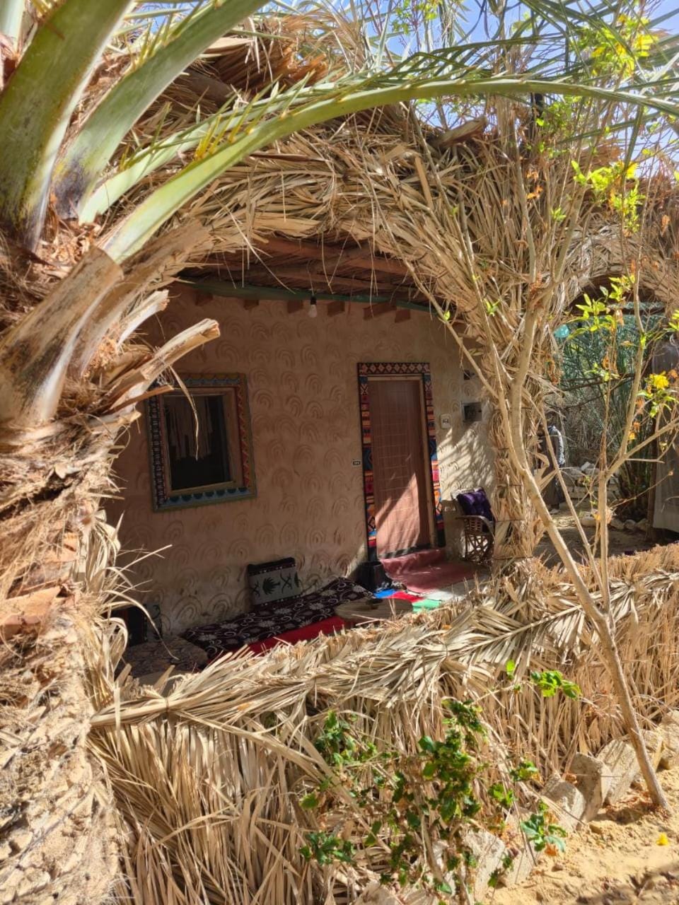 Property building, Garden, Garden view