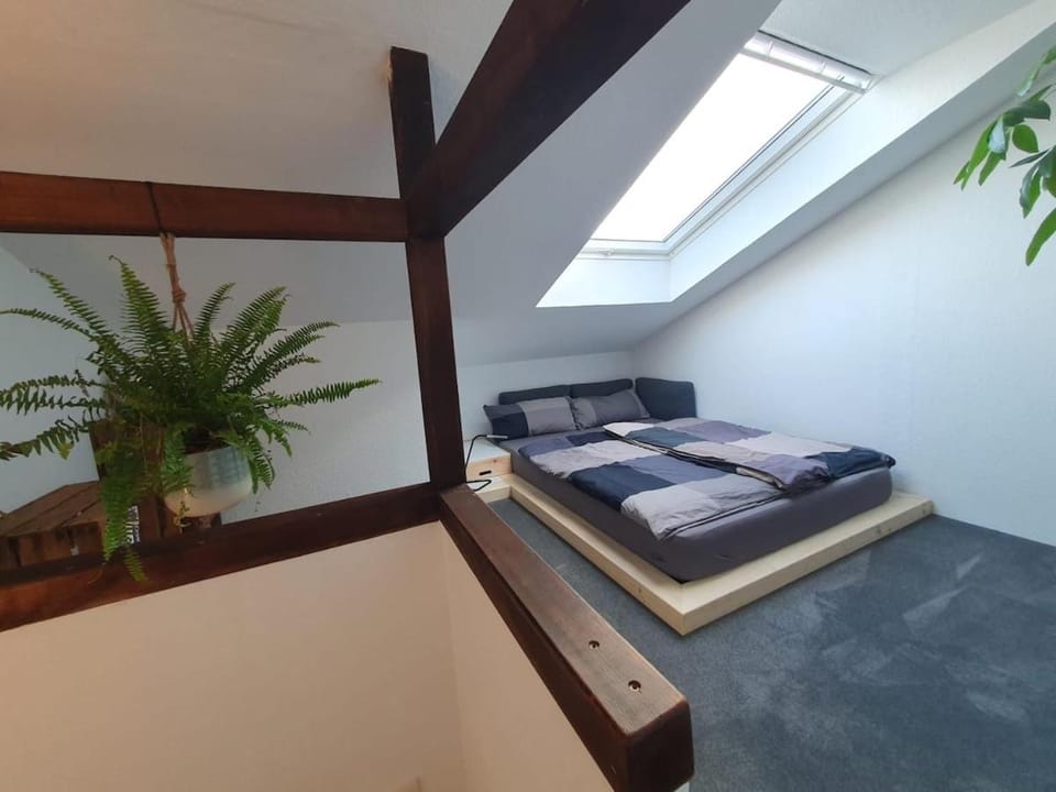 Bright duplex apartment on 3 floors Apartment in Kiel