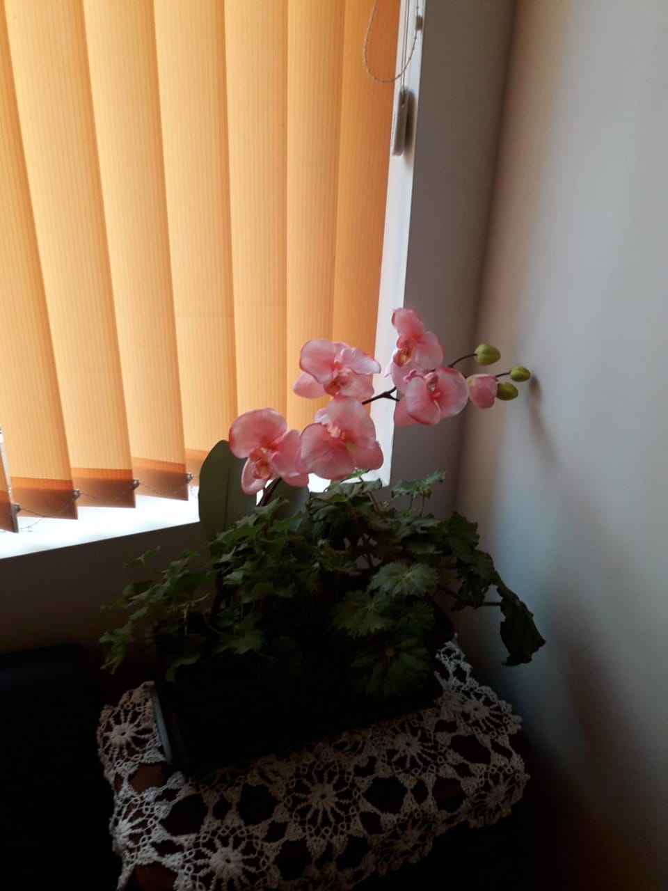 Guest House The House Bed and Breakfast in Plovdiv