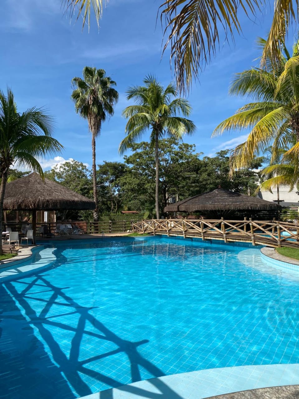 Day, Garden, Garden view, Pool view, Swimming pool, sunbed