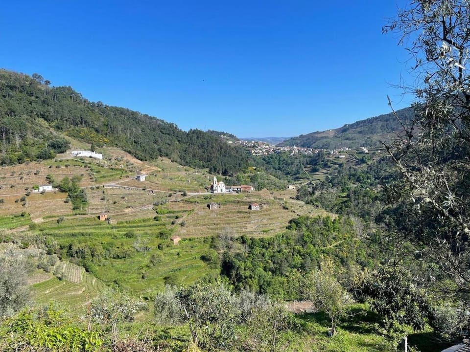 Maison Cosy et Moderne House in Vila Real District