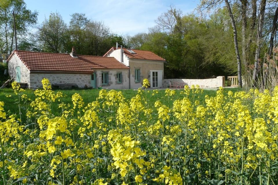 Natural landscape, Garden