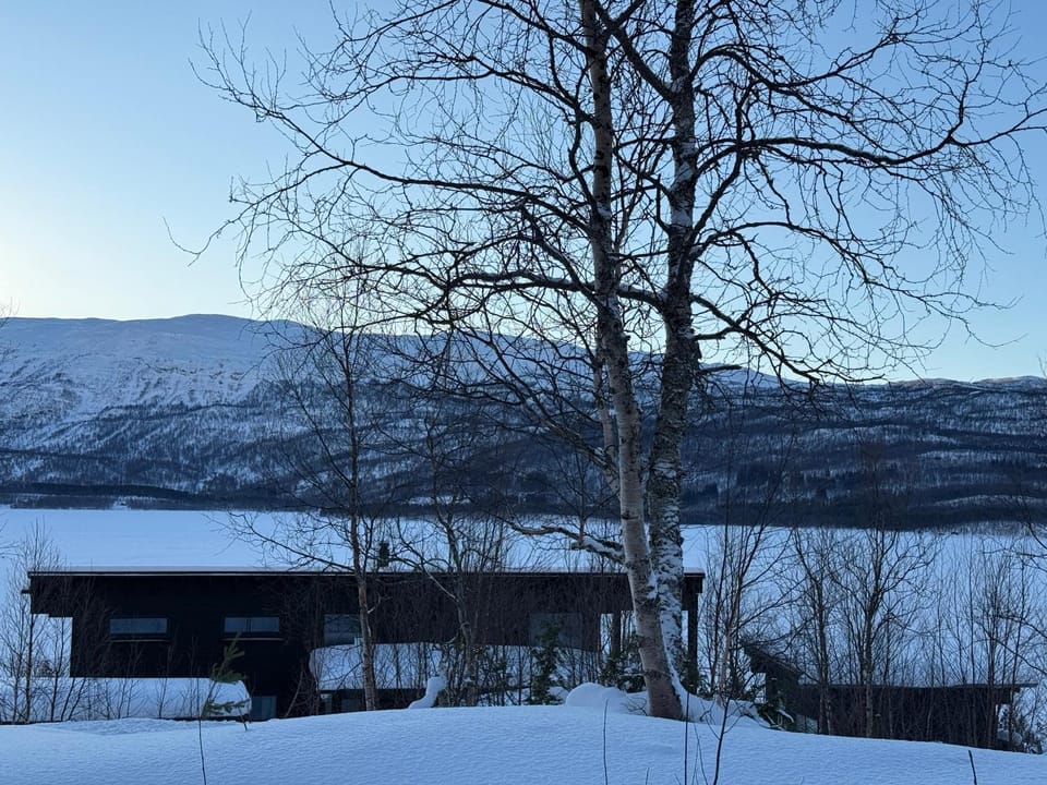Luxury Arctic Cabin Cabin in Norrbotten County, Sweden