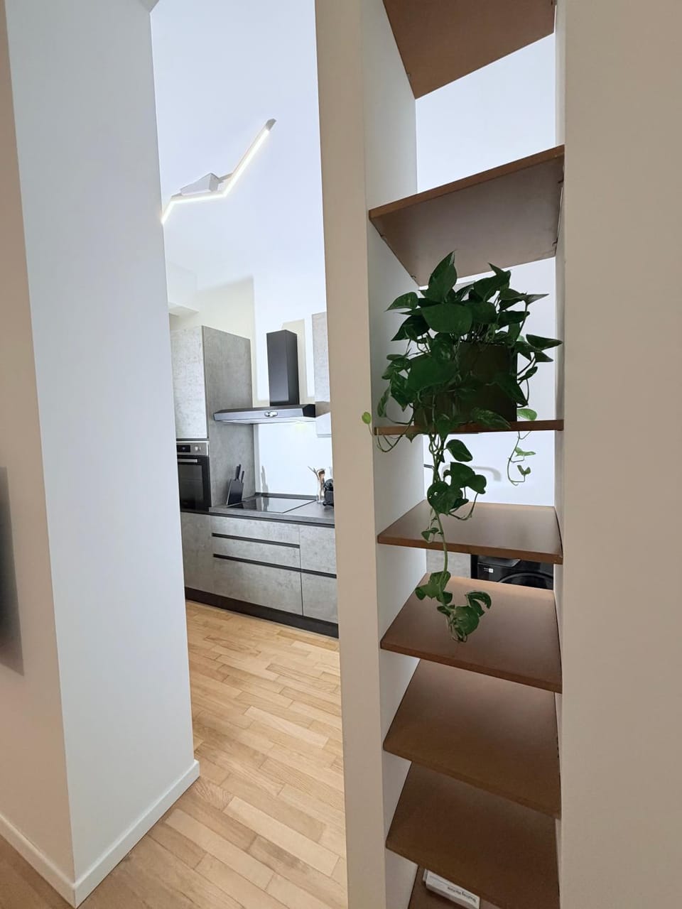 Kitchen or kitchenette, Living room