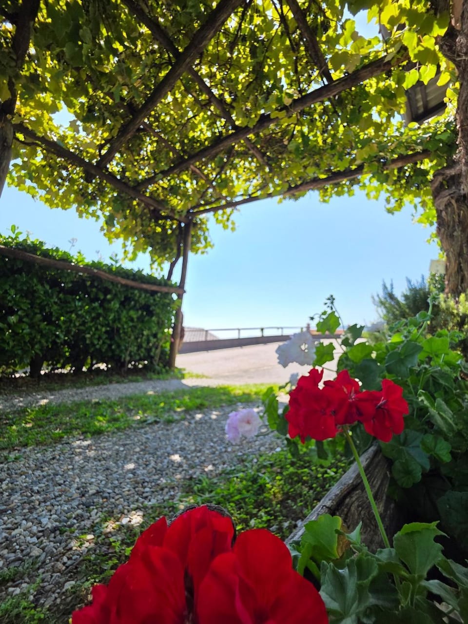Casa Leyian - Free parking Apartment in Canton of Ticino