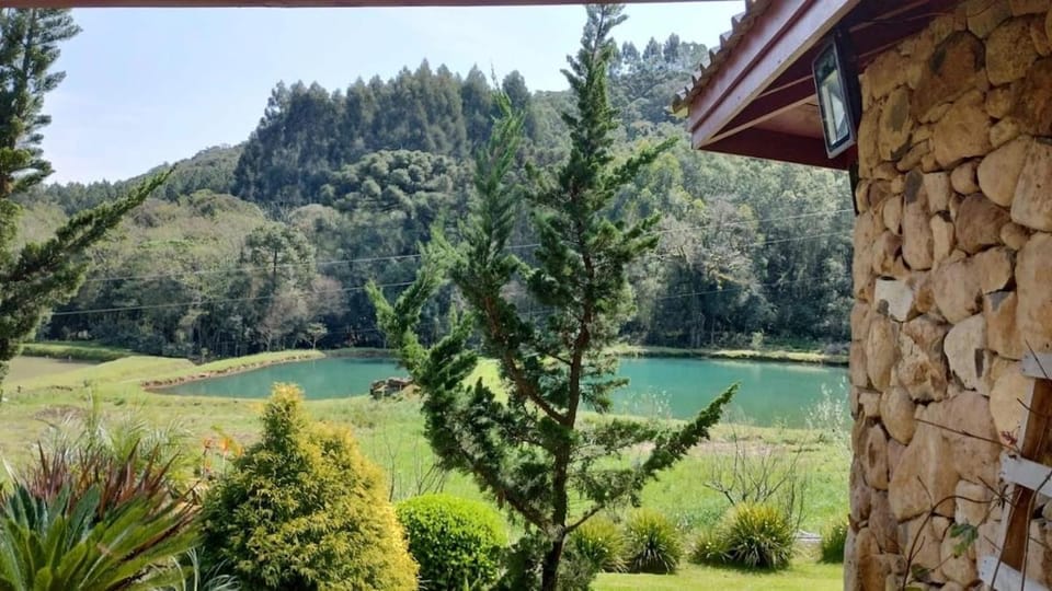 Day, Garden view
