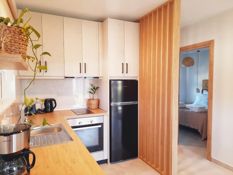 Kitchen or kitchenette, oven, stove
