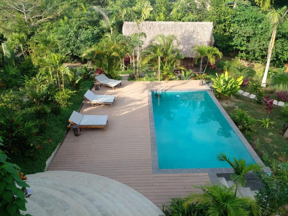 Patio, Garden, Swimming pool