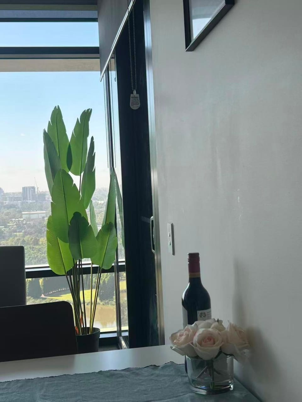 Modern Comfort Stay - Near Stadiums Green Spaces-19 Apartment in Sydney