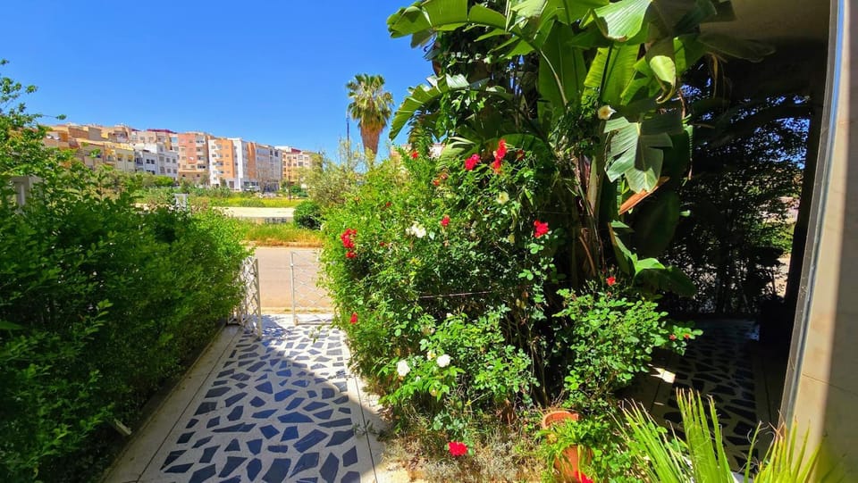Spring, Day, Garden