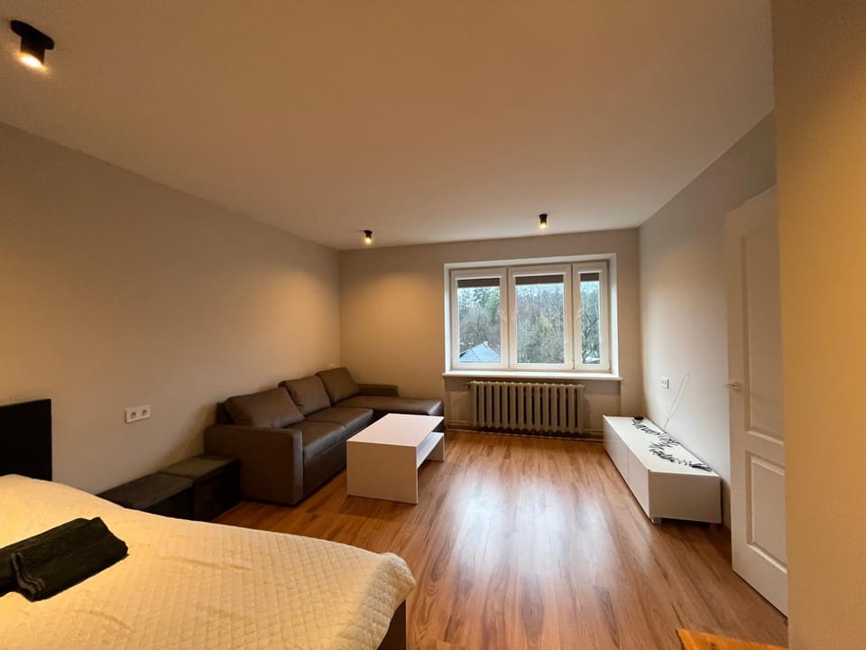 Bed, Living room, Seating area, Bedroom