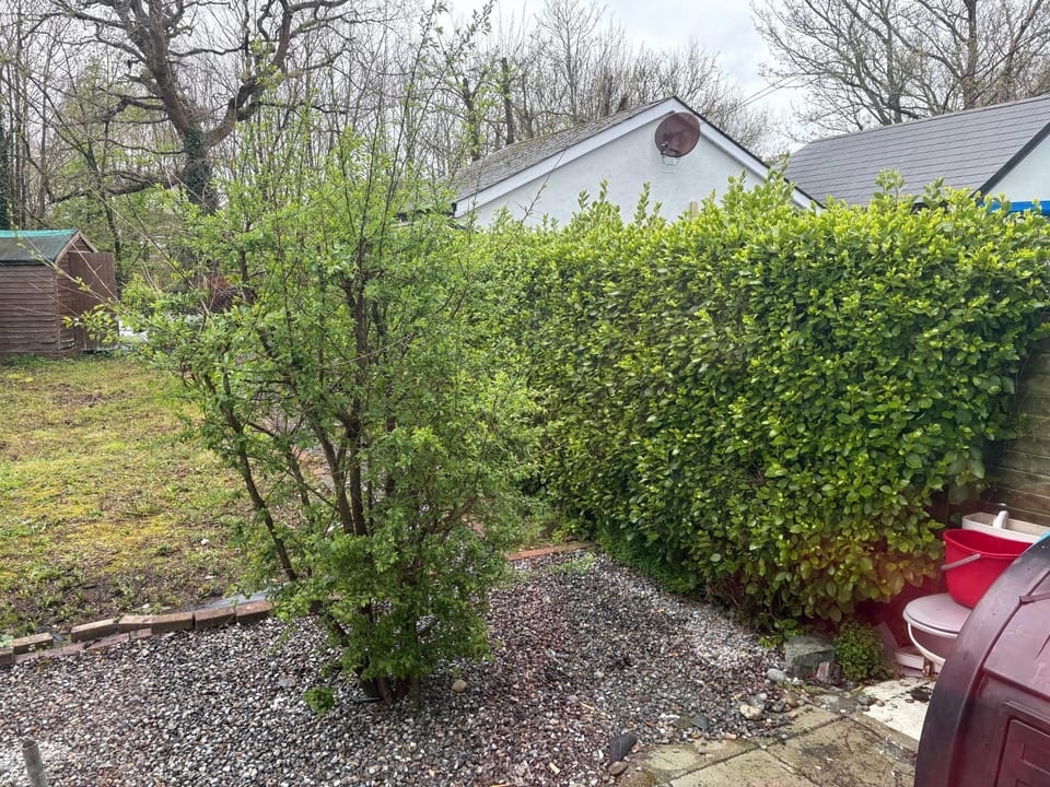 Riverchapel Guesthouse Vacation rental in Ireland