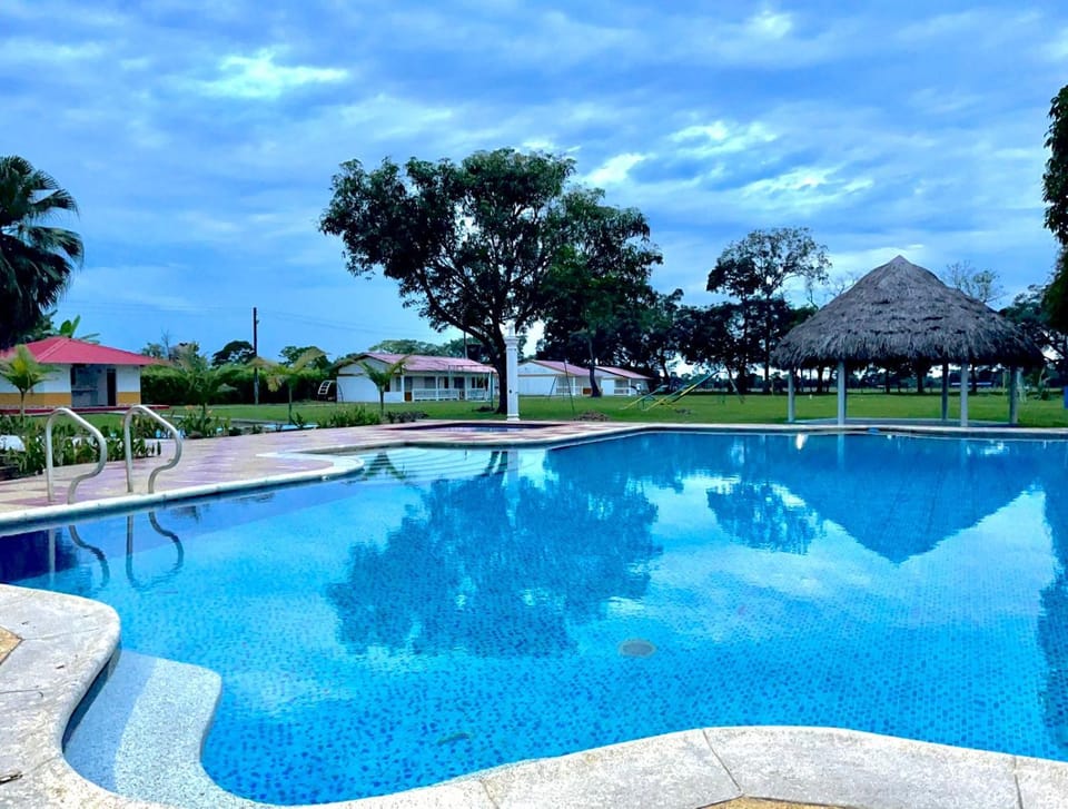 Swimming pool
