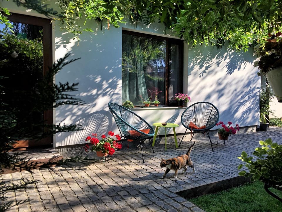 Facade/entrance, Day, Summer, On site, Pets, Garden view