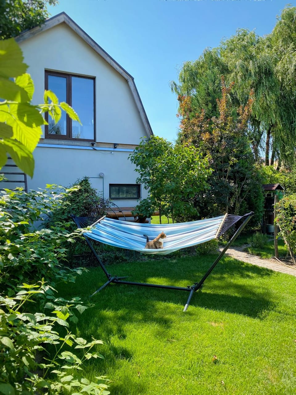 Property building, Garden