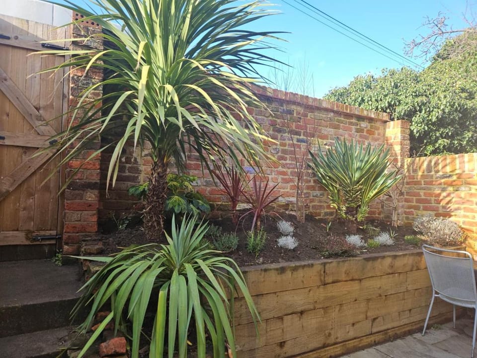 Patio, Garden, Garden view