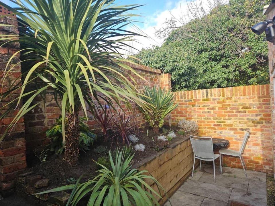 Patio, Garden, Garden view