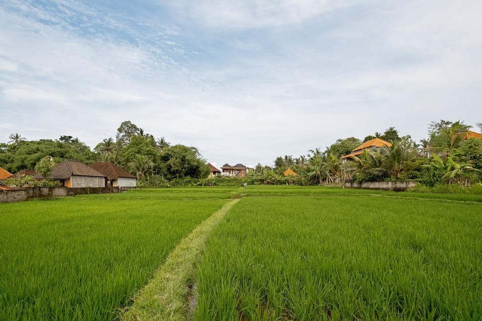 Natural landscape, View (from property/room)
