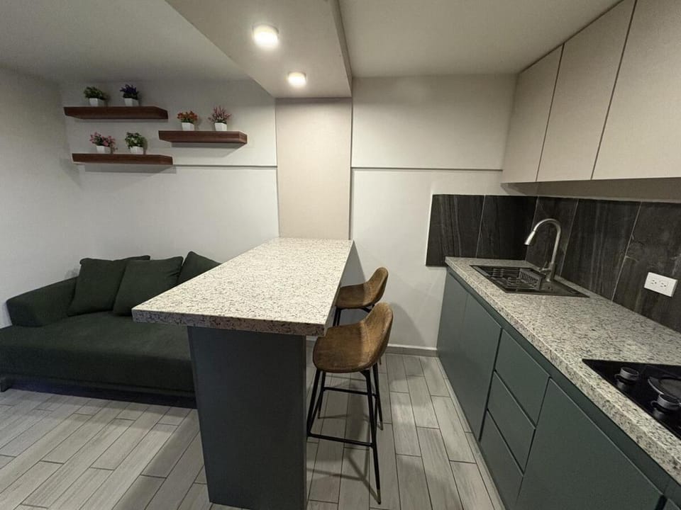 Executive Dept Apartment in Saltillo