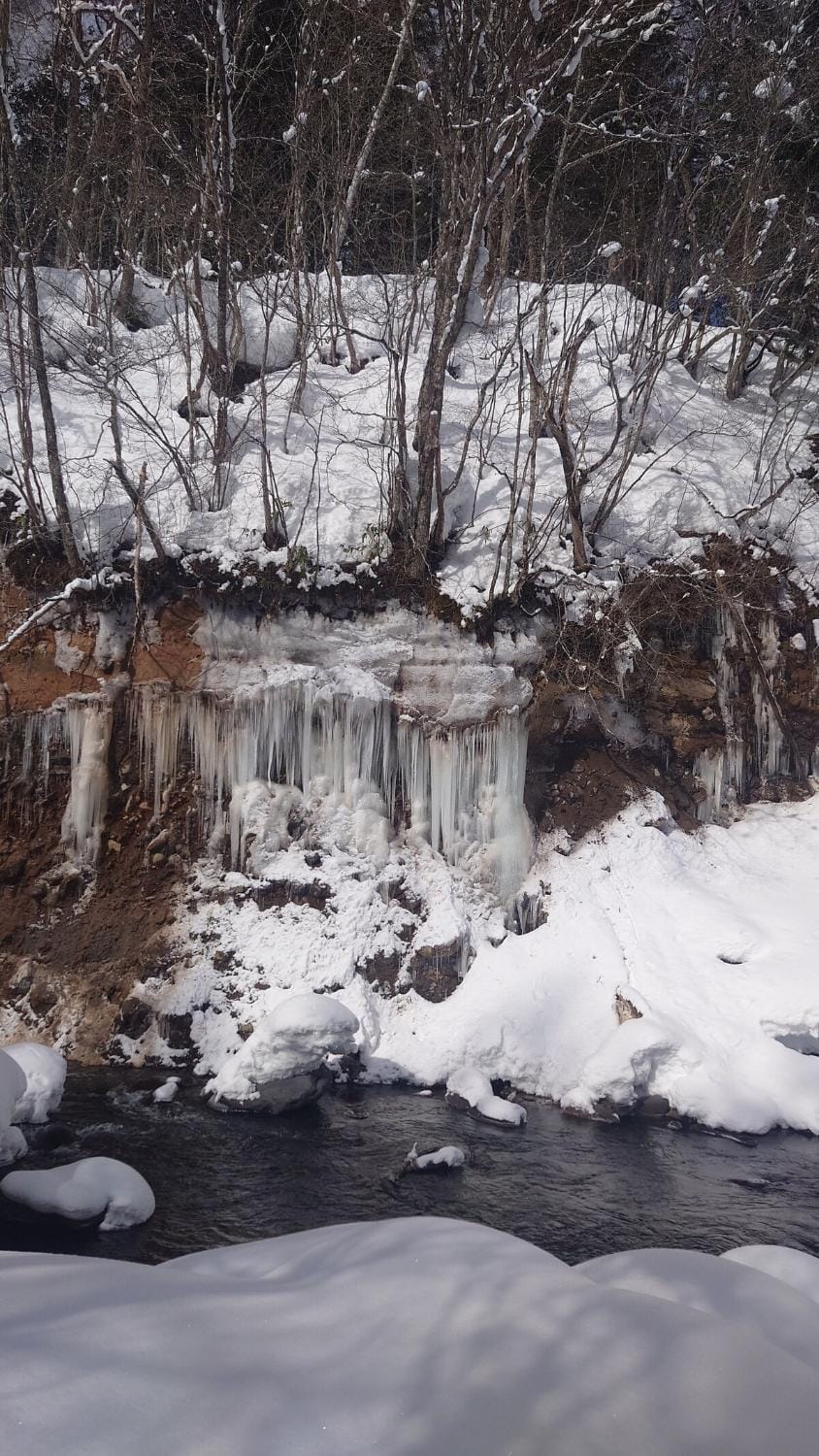 Natural landscape, Winter