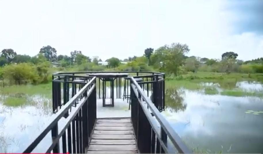Natural landscape