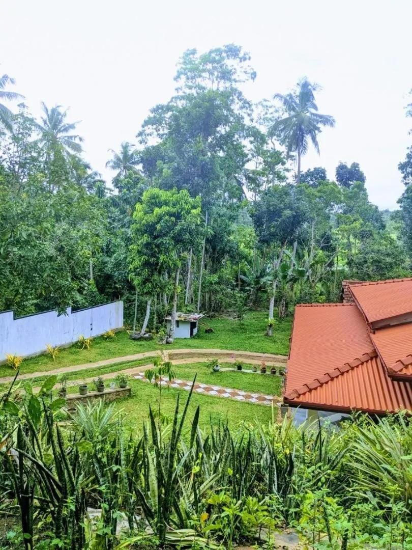 Day, Natural landscape, Garden, Garden view