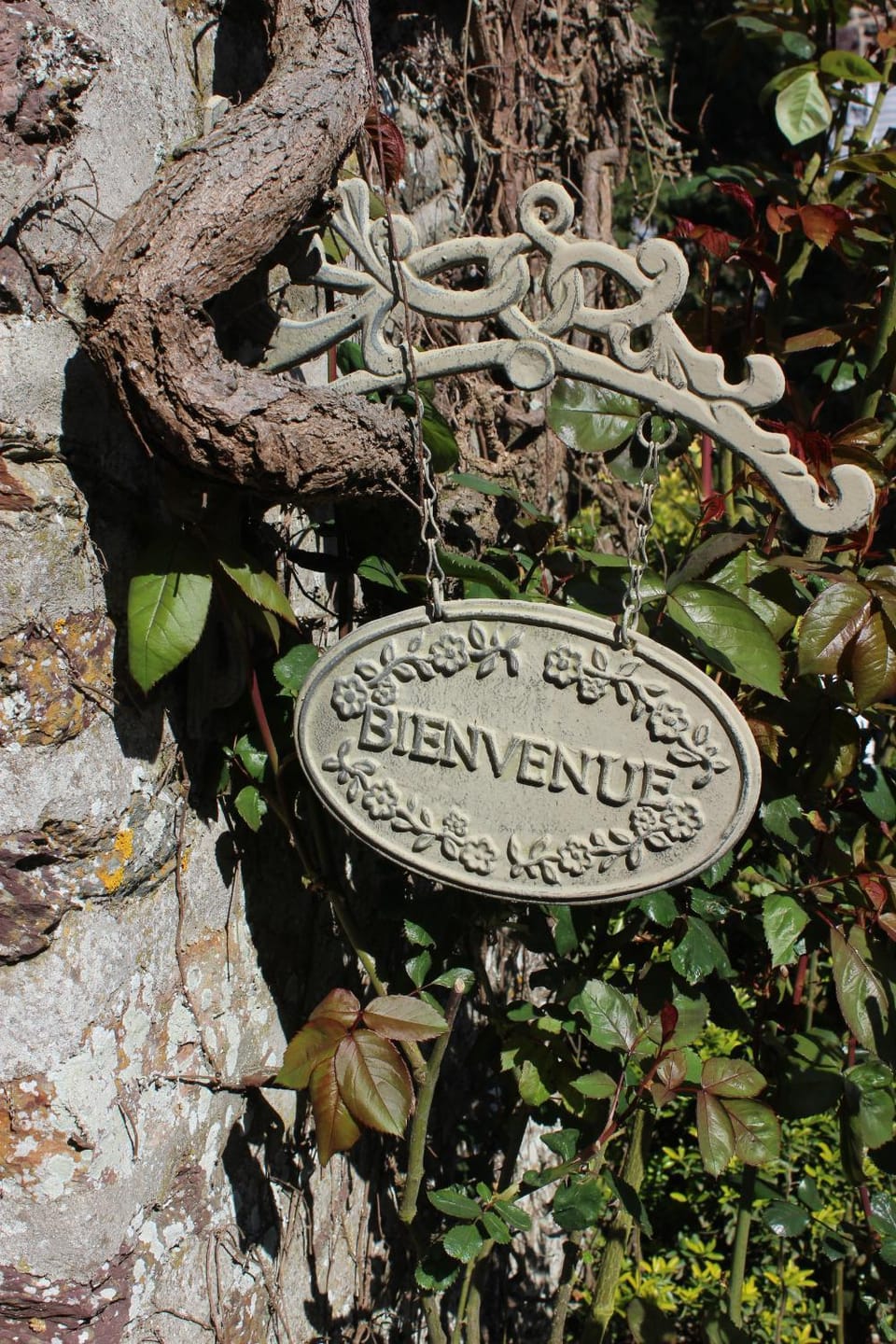 Logo/Certificate/Sign