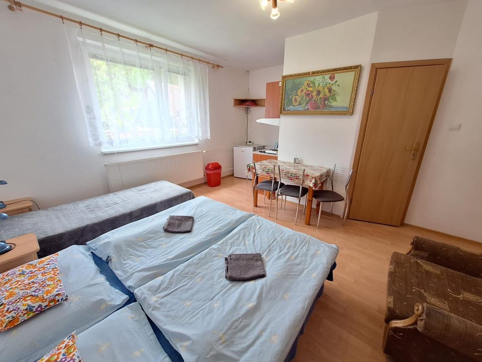 Modrý dom Vacation rental in Slovakia