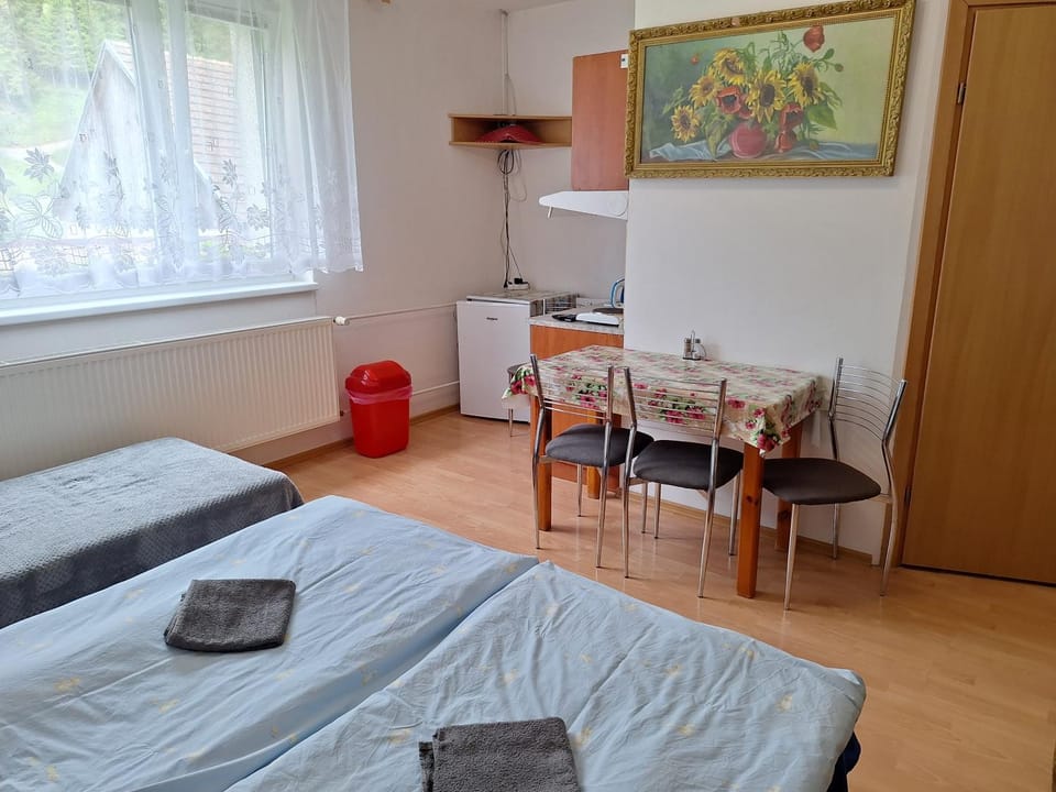 Modrý dom Vacation rental in Slovakia